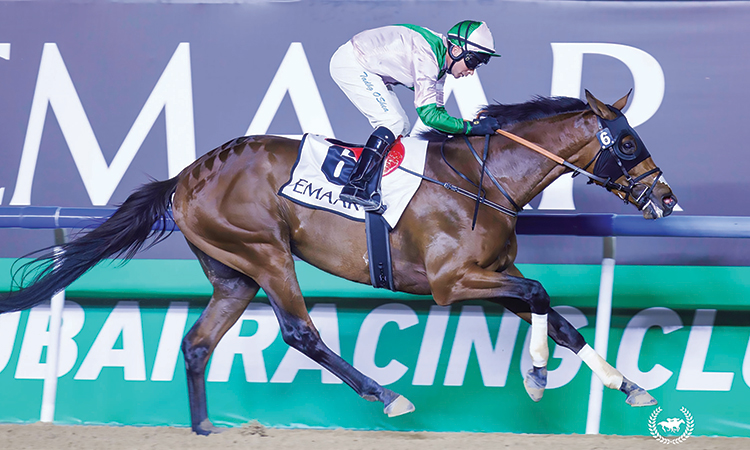 Thoroughbreds headline likely lineup for Dubai World Cup The Print